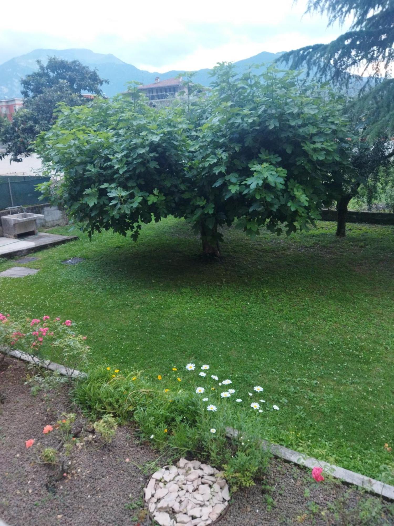 リーヴァ・デル・ガルダRose Garden House Wi-Fiアパートメント エクステリア 写真